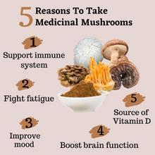Load image into Gallery viewer, Mushroom powder