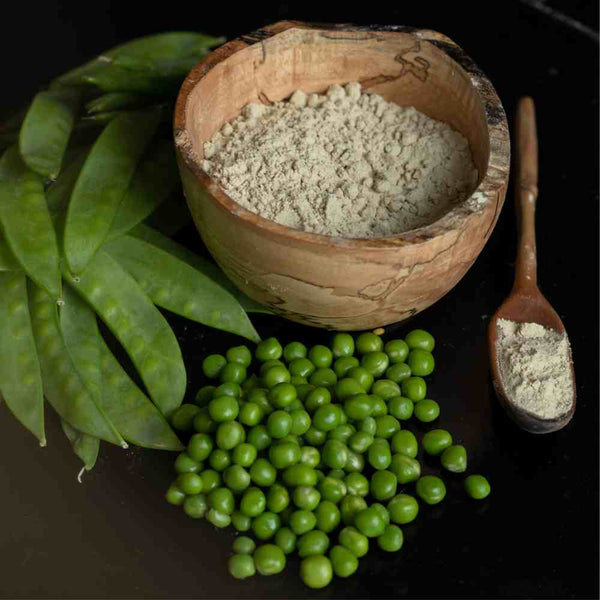 What Are the Best Plant-Based Protein Sources? Highly Digestible & Environmentally Friendly