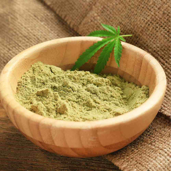 Why Use Hemp Protein Powder | Is It Really Worthy of Hype?