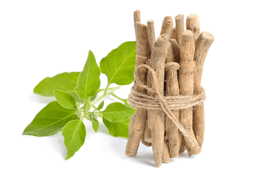 Ashwagandha Benefits for Female: Light Up Your Sex Life, Reduce Stress and Look Younger