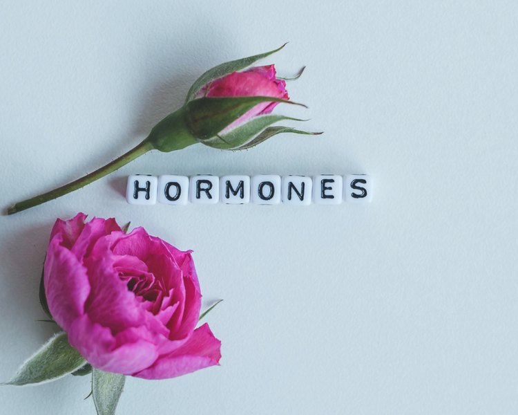 How to Balance Your Hormones Naturally | Top Foods That Balance Hormones
