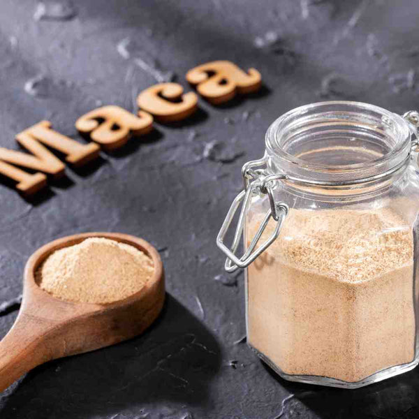 Maca Powder Benefits for Men: Natural Aphrodisiac for Libido and Sperm Quality