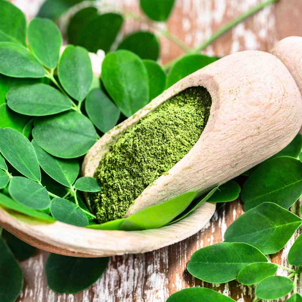 Moringa Benefits for Women: Miracle Herb for Skin & Hair Heath