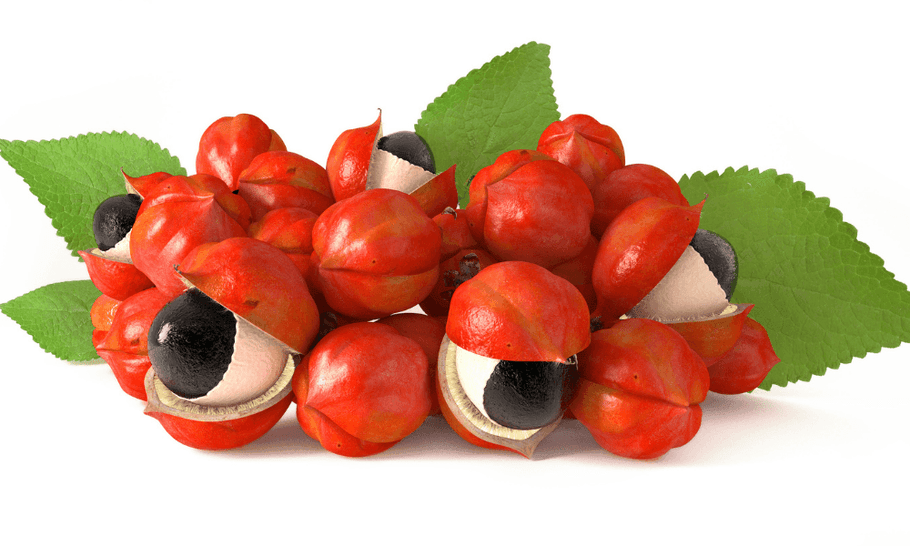 What is Guarana? Is It Really the "Elixir of Youth"?